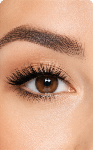 Phoenix Eye